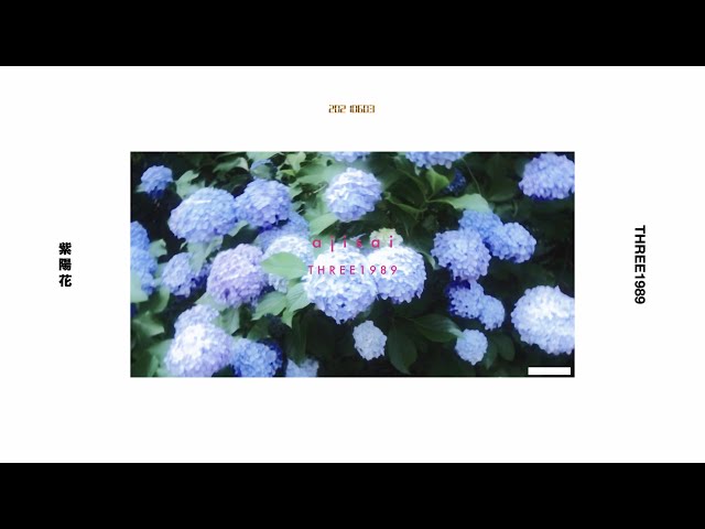 紫陽花 / THREE1989 (Lyric Video) - YouTube