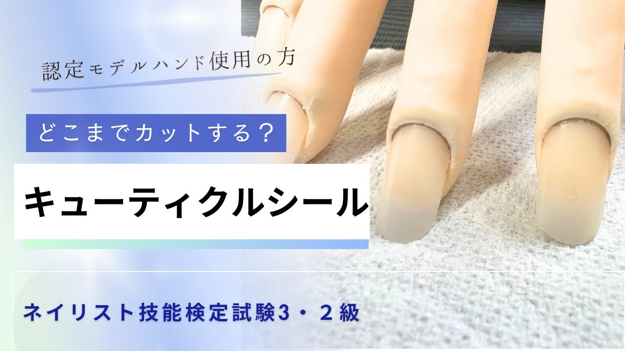 Nail Technician Certification Level 3 & 2] Certified Model Hand