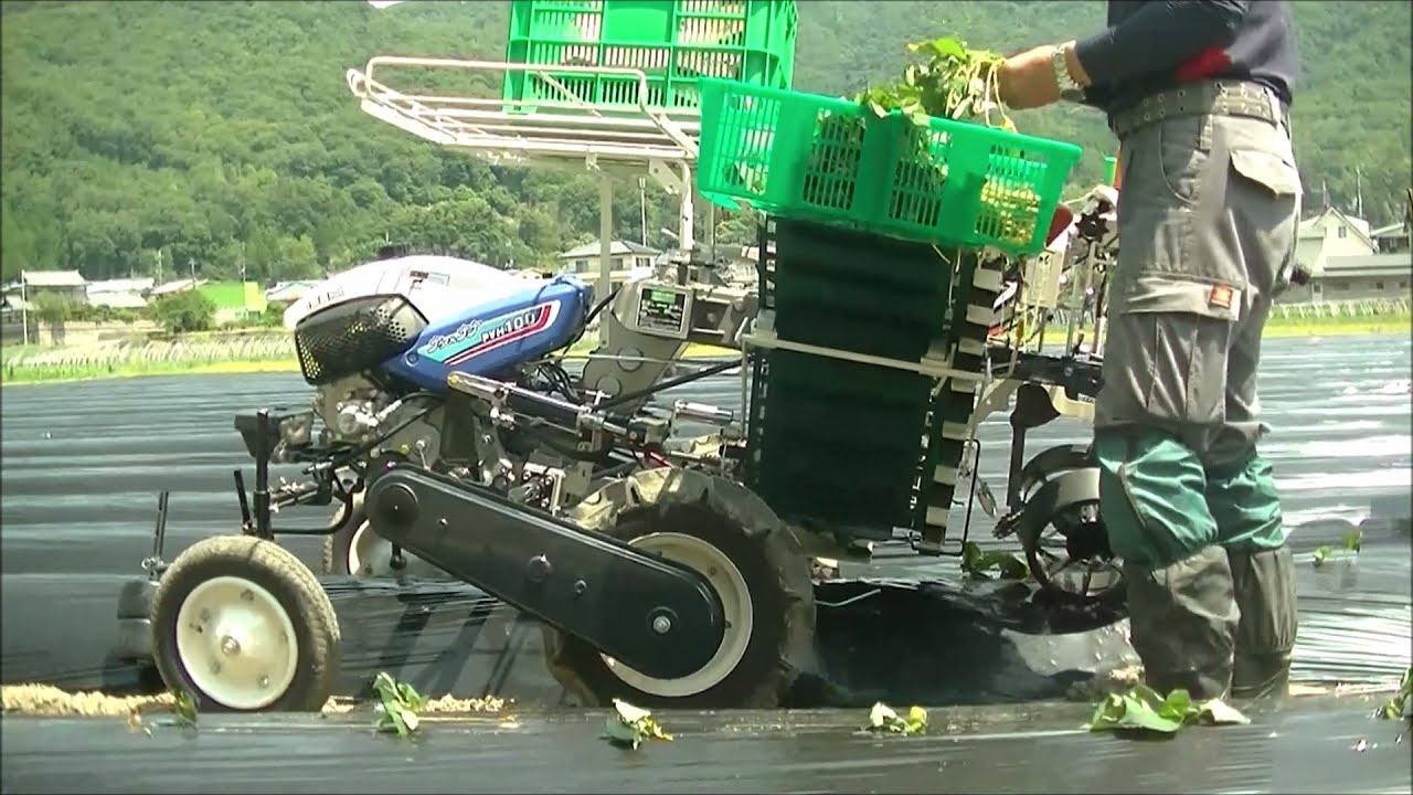 ヰセキかんしょ移植機PVH100 70試運転やりました！2021 6 8