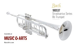 Bach 180S Stradivarius 37 Bell Series Professional Bb Trumpet