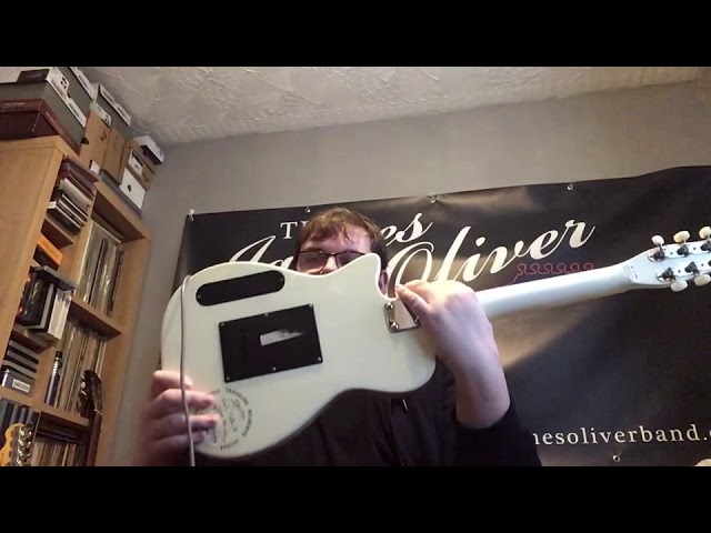 Gretsch TW-100 travelling Wilburys guitar review and demo by James