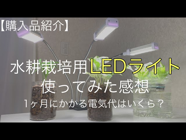 Purchase Introduction] My impressions after using the LED light