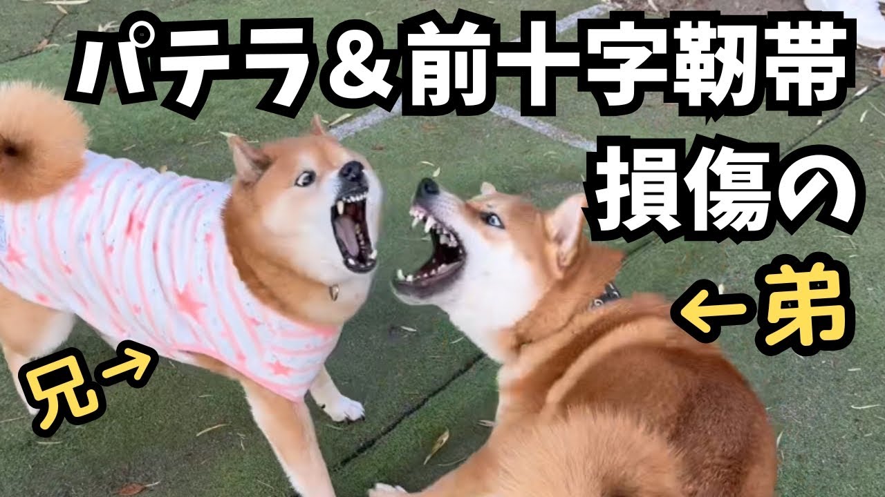 My older brother was furious when he saw his younger brother two