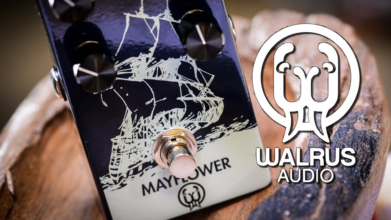 Walrus Audio MAYFLOWER (OD) - Review - YouTube