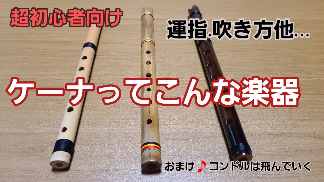 ケーナの運指、仕組みとその覚え方【ケーナ講座ミニ】 - YouTube