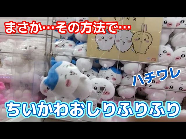 ちいかわおしりふりふりBIGぬいぐるみ～ハチワレ～☆ シリーズ第二弾