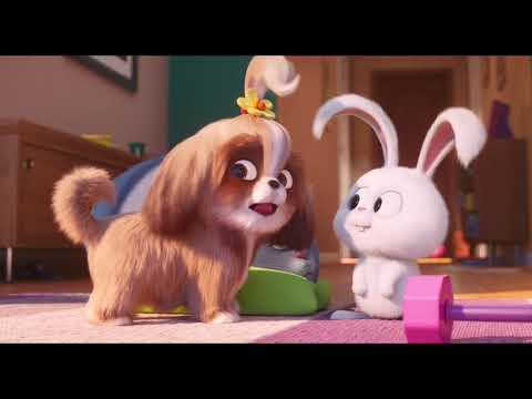 ペット2』本編映像（デイジー編） - YouTube