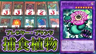 遊戯王 【デッキ紹介】 「捕食植物（プレデター・プランツ