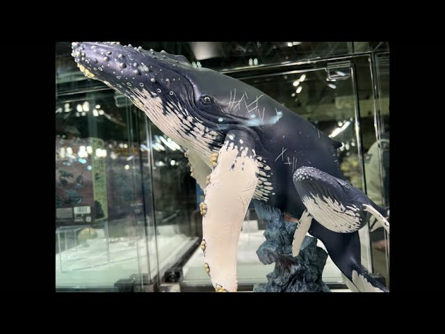 WF2023W 海洋堂 ネイチャーテイルズ - ポリストーン動物スタチュー展示