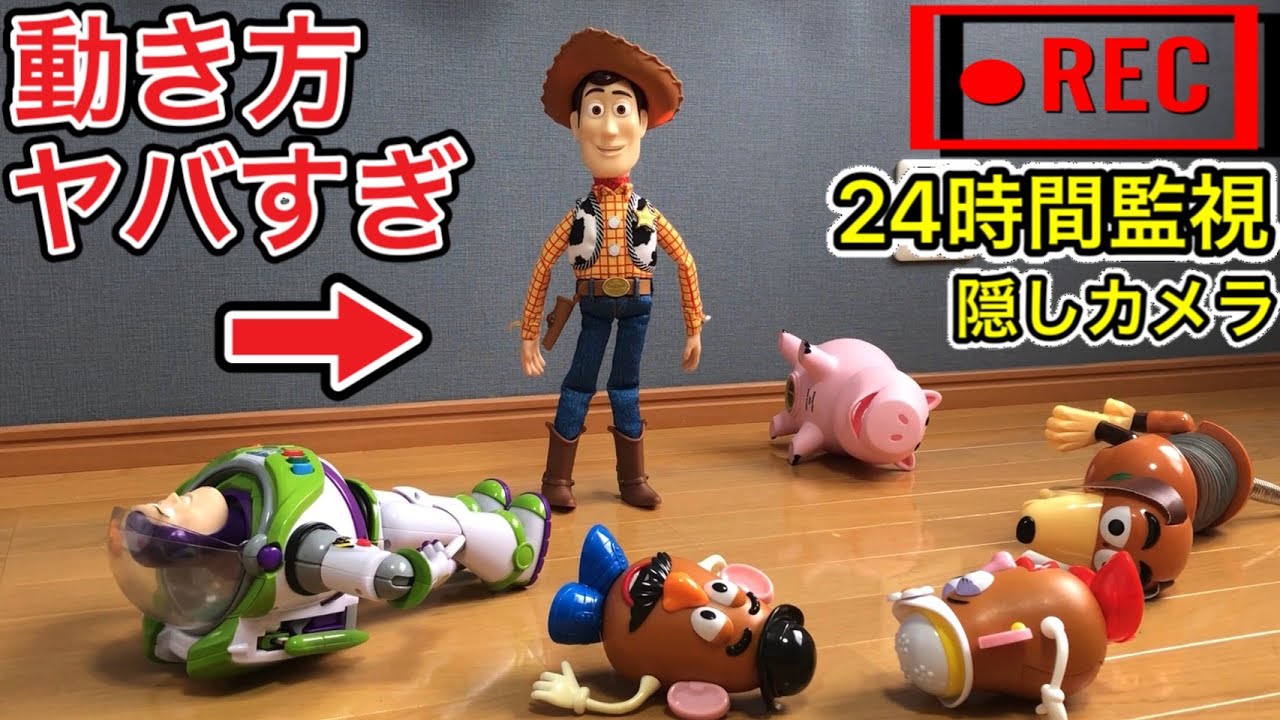 24-hour camera monitoring] The footage from the camera installed