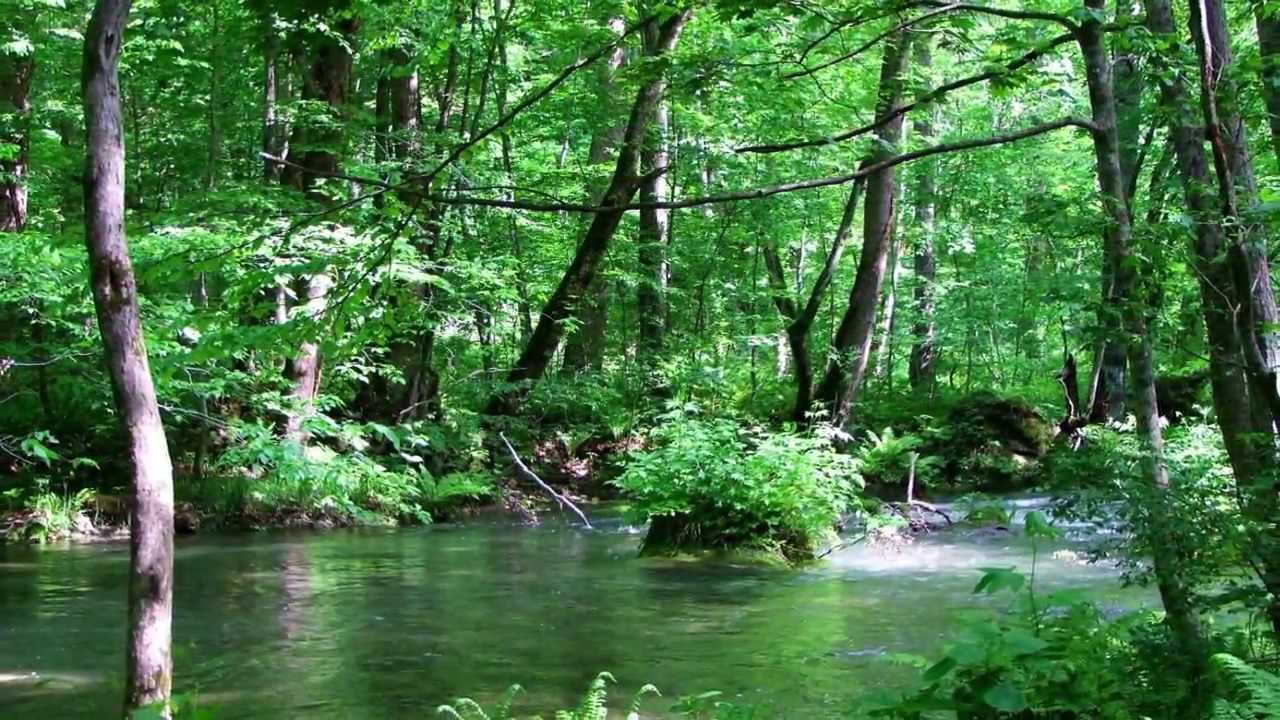 愛のオルゴール:フランク ミルズ - YouTube