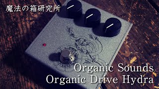 Organic Sounds Organic Drive Hydra（ヒュドラ） with Roland JC-40