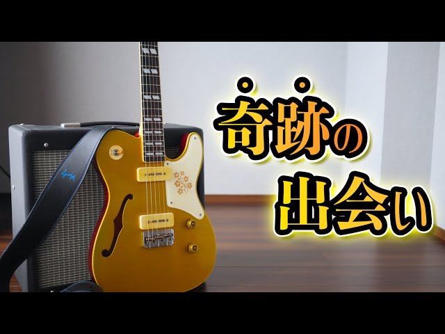 音ヤバい】新しいギターを紹介します！ Bruno Guitars TN-295 - YouTube