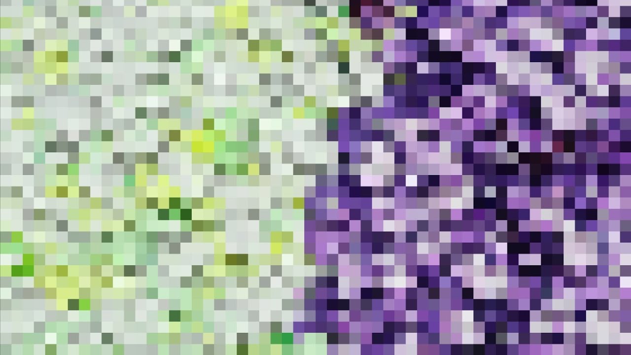 油絵】【白と紫のライラック】 #油絵 #手書き #アート #絵画 #絵 #油彩