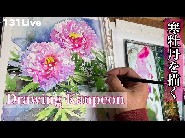 131】寒牡丹を描く131 times Live Streaming/Drawing Kanpeon - YouTube