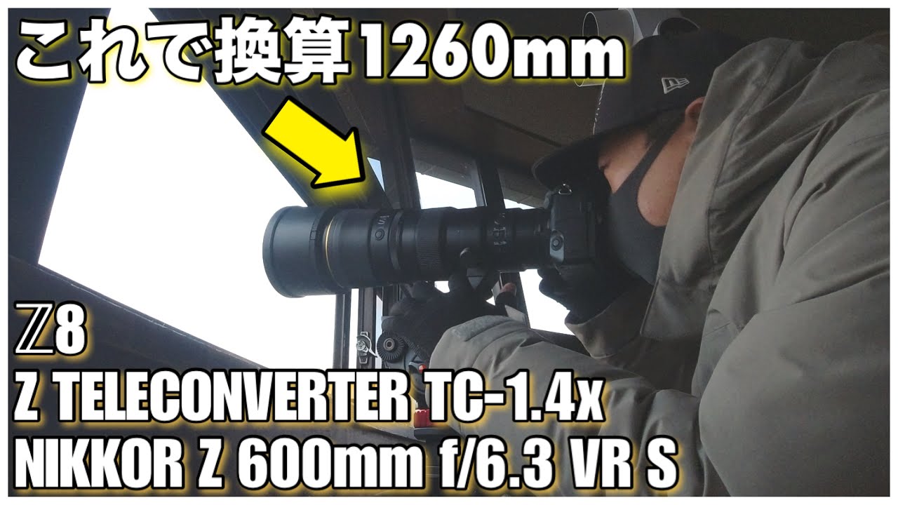 野鳥撮影】663 × 1.4テレコンで鳥撮り！？- Z8 × NIKKOR Z 600mm f