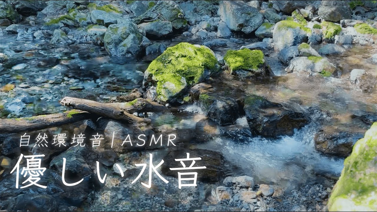 清流】やさしい水音：透明度抜群な川のせせらぎに癒される1時間【自然