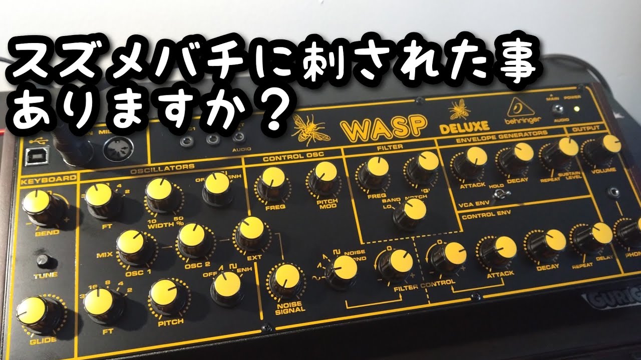 behringer wasp 初見インプレ - YouTube