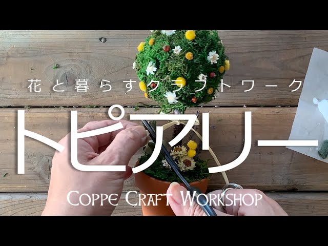 簡単にできるドライフラワー【トピアリー】ハンドメイドキット ハンズ