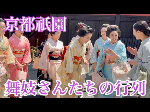 2025年5月1日 京都祇園 舞妓さんたちが祇園を大移動 Maiko in Gion