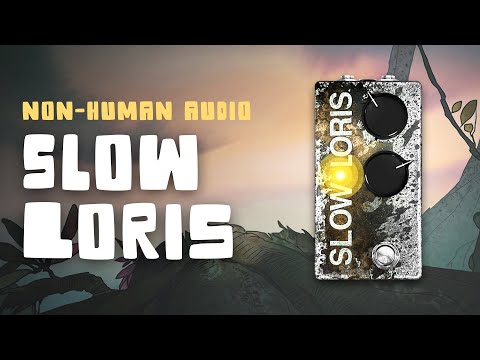 Non-Human Audio | Slow Loris Demo - YouTube