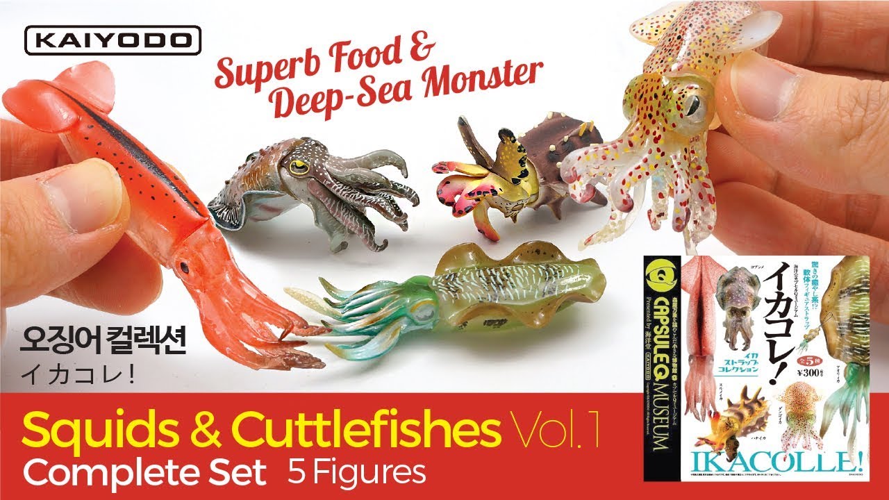 5 Amazing Squid & Cuttlefish figures Vol.1 / イカコレ！ イカ