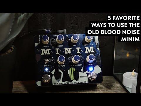 Old Blood Noise Endeavors Minim Reverb/Delay and Reverse - Your