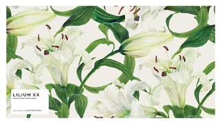 Lilium XX | OTHER LABEL,Lilium Records | TANO*C STORE