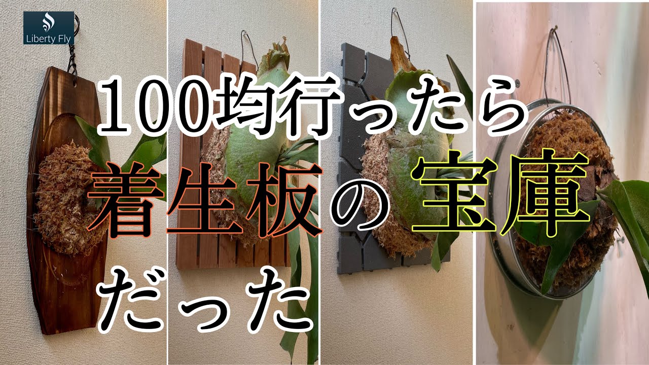 Start making epiphytic boards at the 100 yen store! - YouTube