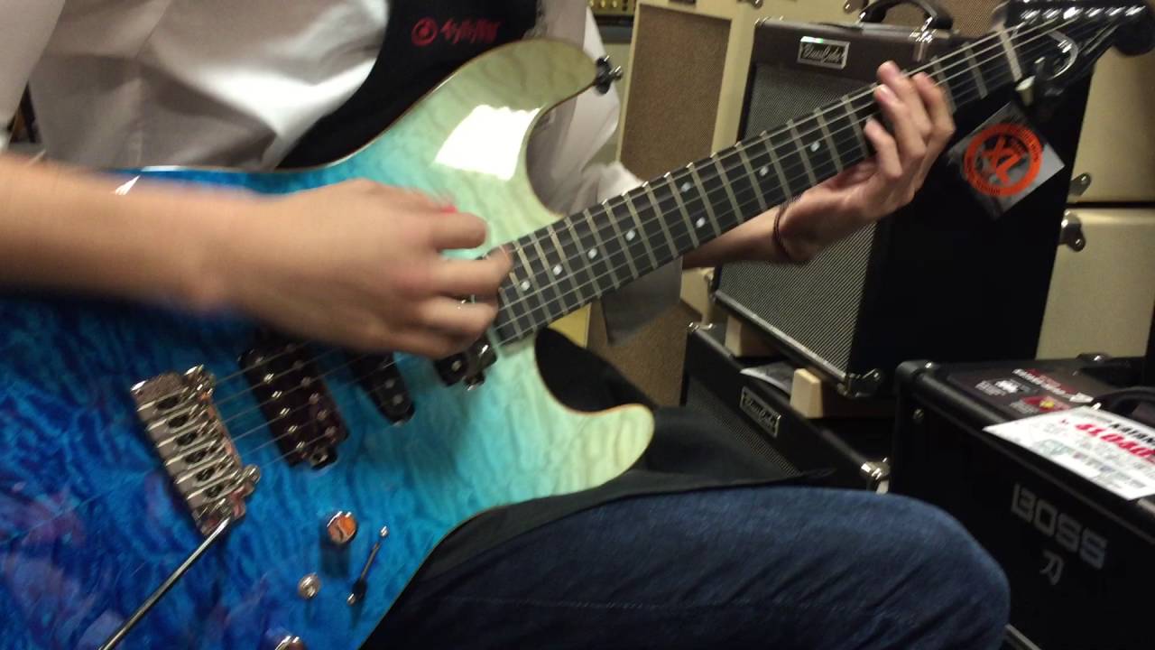 ハイスペック×高級感を実現したイシバシ楽器オリジナルブランド Selva