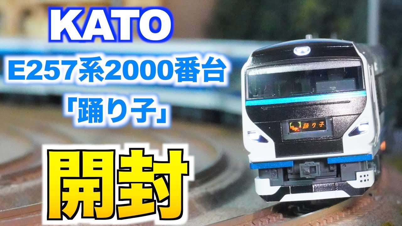 Something Happens!!] KATO E257 Series 2000 