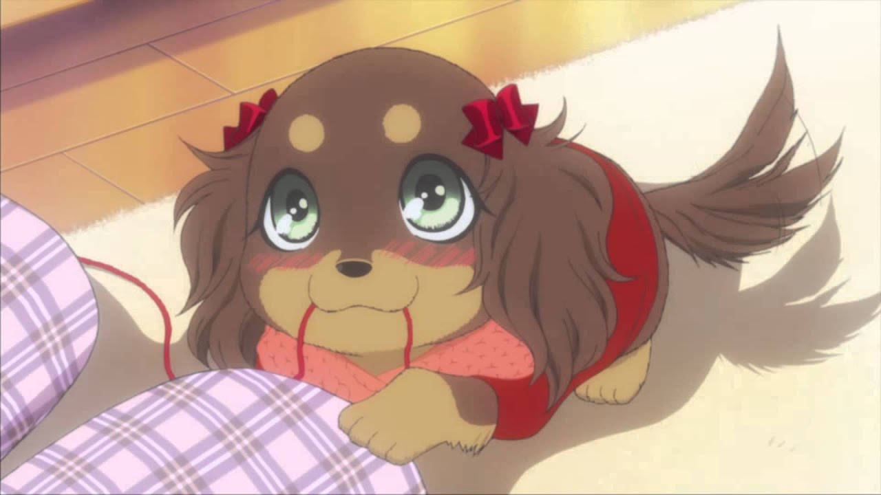 チョコタン！ - YouTube