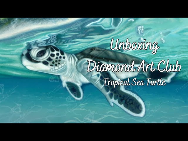 Unboxing DAC Tropical Sea Turtle - YouTube