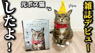 Congratulations] The former boss cat, who was in a bad state, has