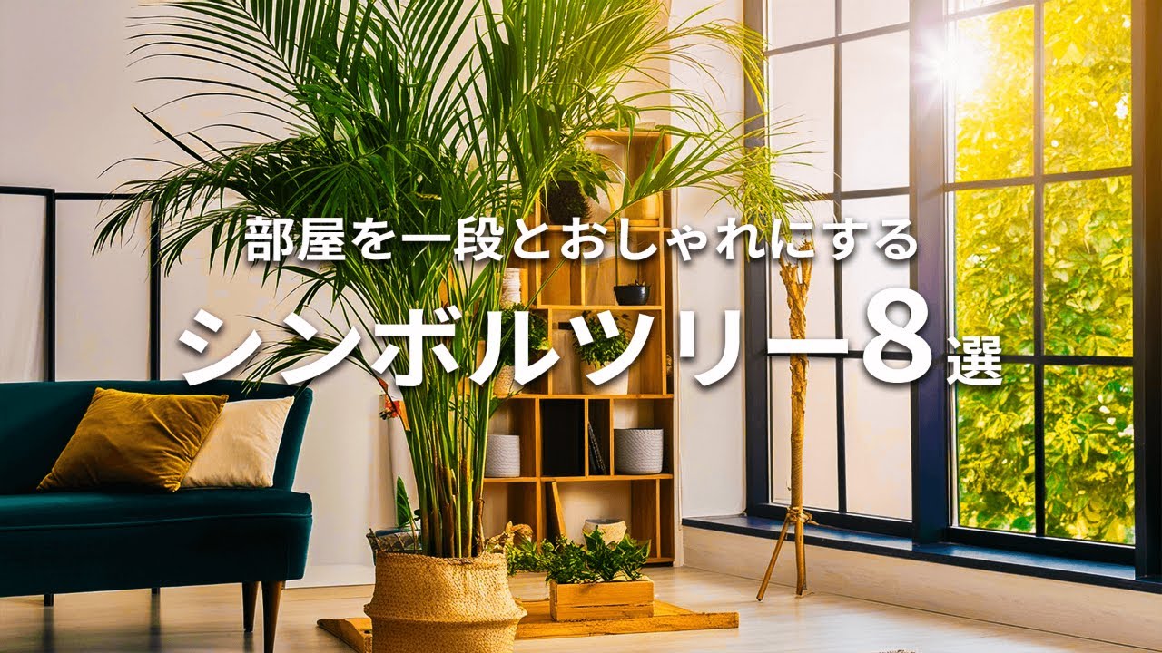 How to Grow and What Rooms They Fit] Decorate Your Room with These