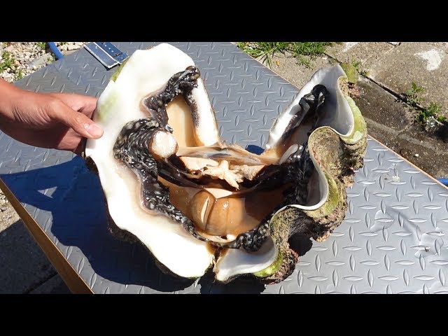 If you get caught, it's over. Outdoor dining using giant golden