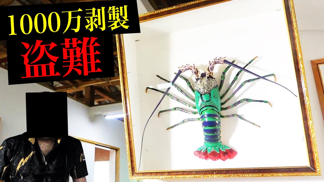 1000万円の剥製が盗難されました【1000万円の剥製作り #3】 - YouTube