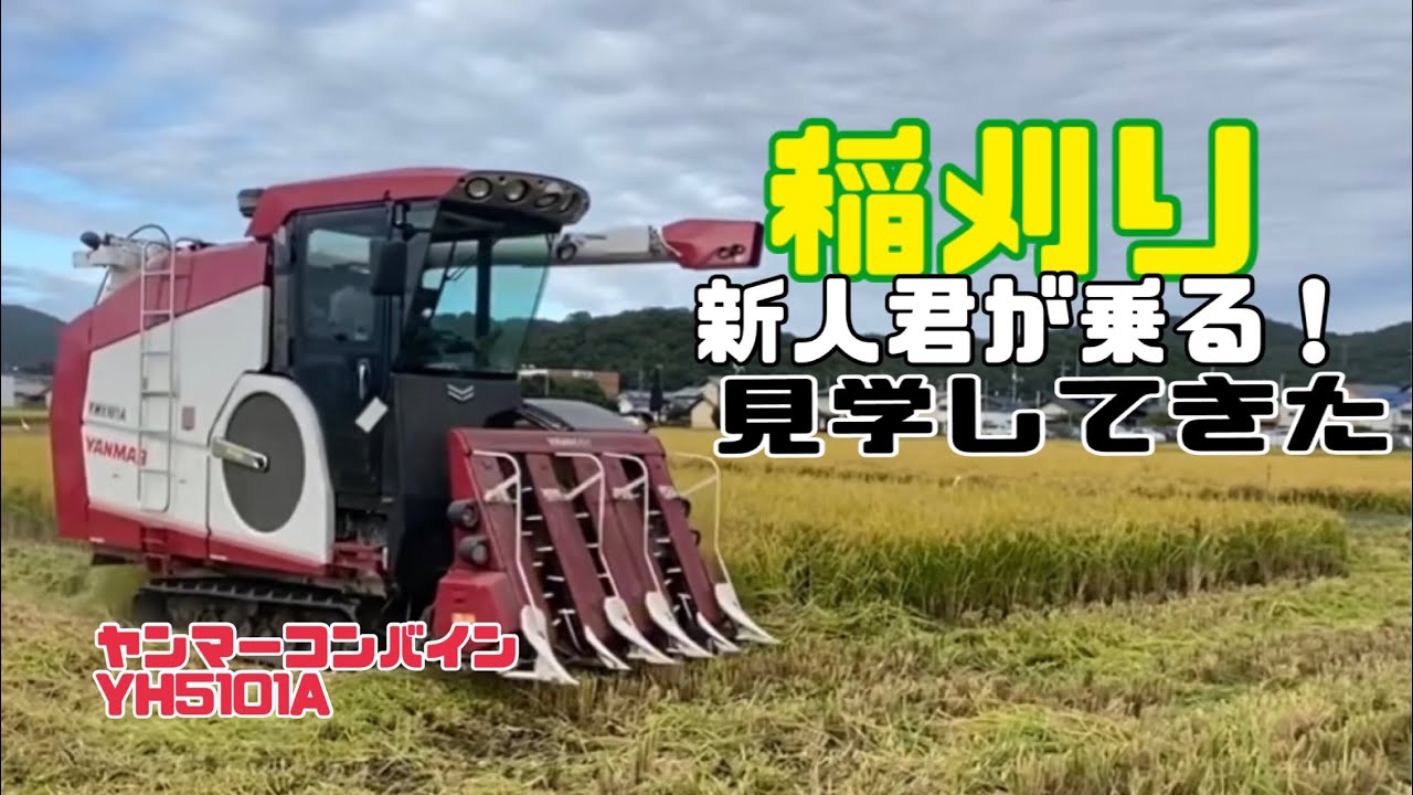 稲刈り2024！ヤンマーコンバインYH5101A - YouTube