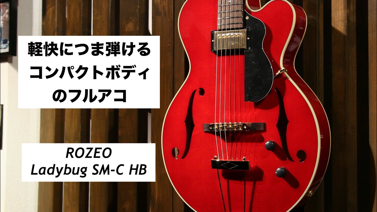 コンパクトボディのフルアコ ROZEO Ladybug SM-C HB - YouTube