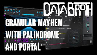 PALINDROME Review — DATABROTH