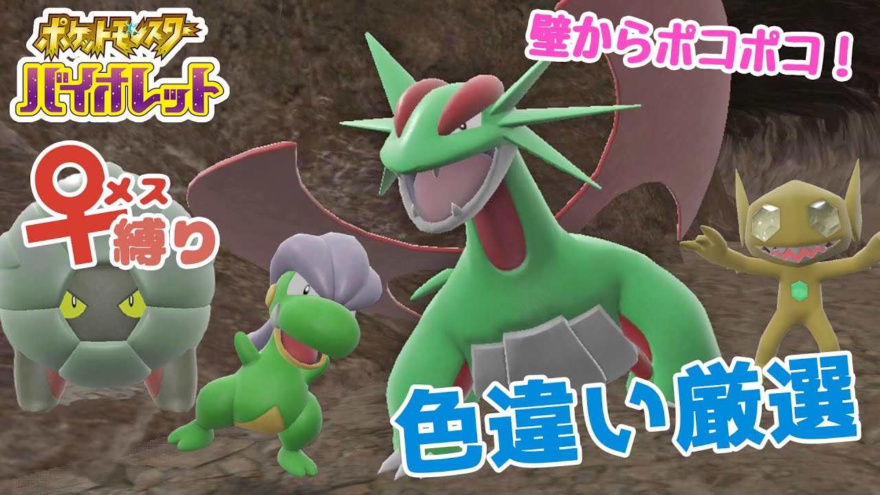 SV色厳選】壁から湧き出るウワサの洞窟！タツベイ色厳選！【♀縛り