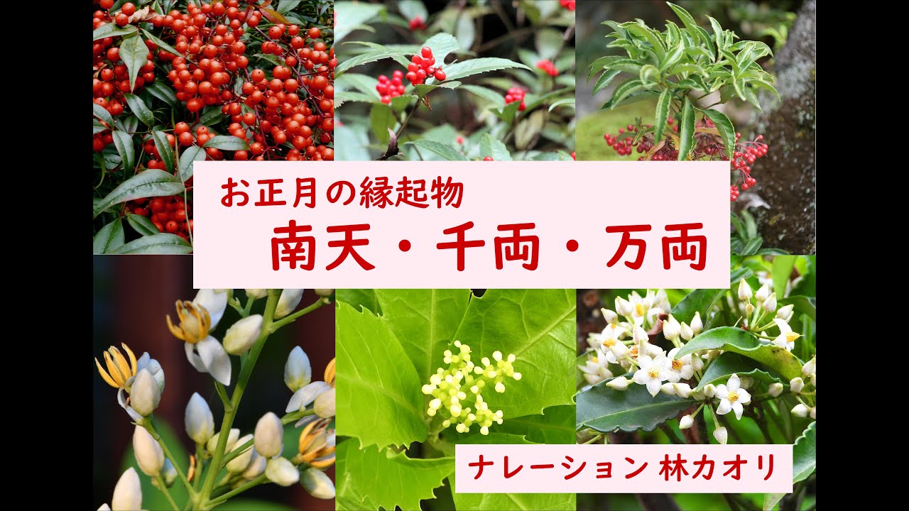 New Year's Lucky Charms: Nanten, 1,000 Ryo, Ten Thousand Ryo