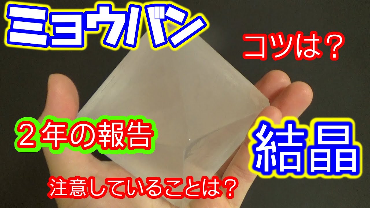 目指せ！大きくきれいなミョウバン結晶！その5自由研究にもぴったり