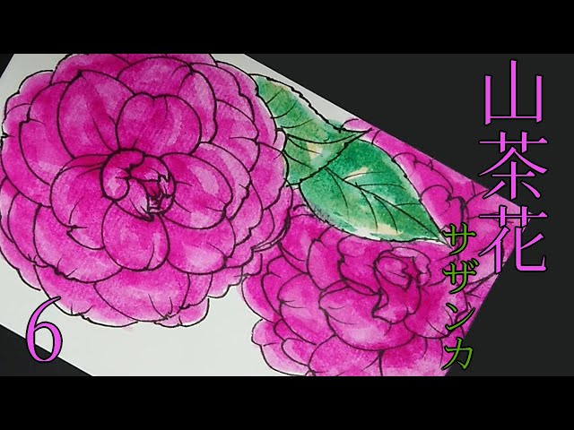 山茶花】#6 【ハガキ絵】サザンカの絵を簡単に描く 秋の花 冬の花