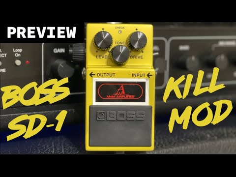 Boss SD-1 KILL MOD + Peavey 6505 MH! Super “Mean” Overdrive? AMM