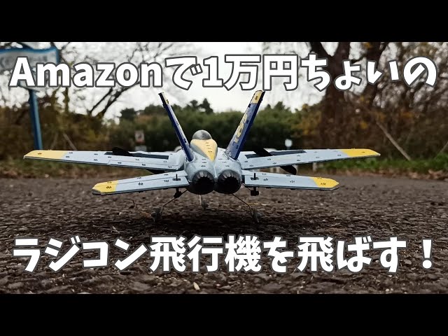 My first attempt at a radio-controlled airplane that can be