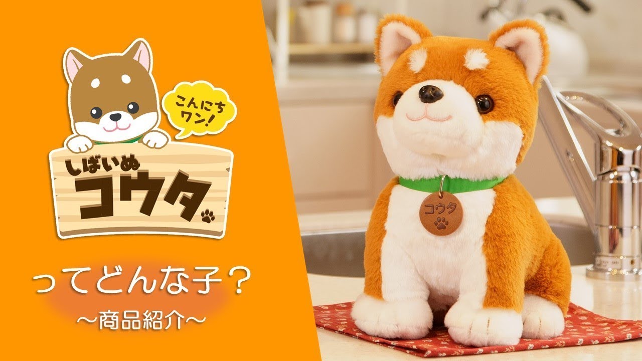公式】ペットの人形なら こんにちワン！しばいぬコウタ あなたに