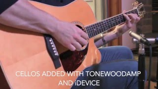 アコギ用エフェクター】”ToneWoodAmp” 振動を増幅&エフェクト付きの
