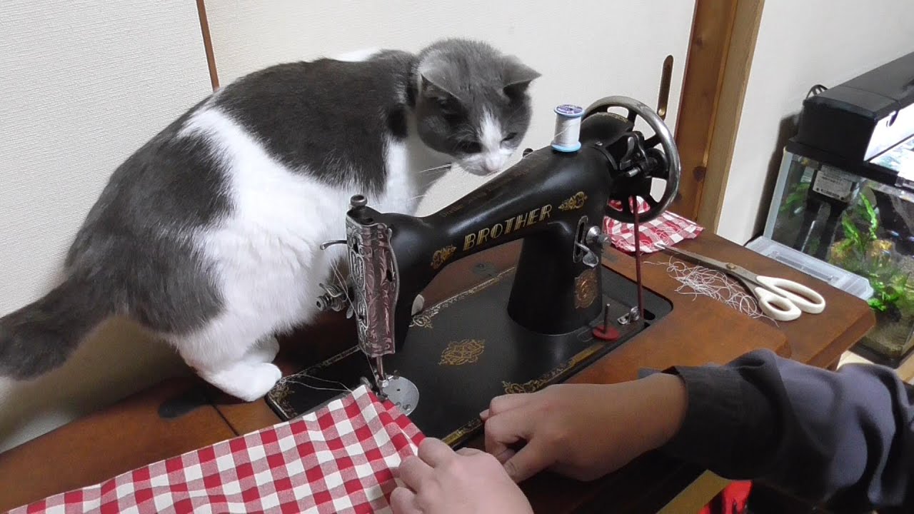 昭和のブラザー足踏みミシンでお裁縫 Japanese old treadle sewing