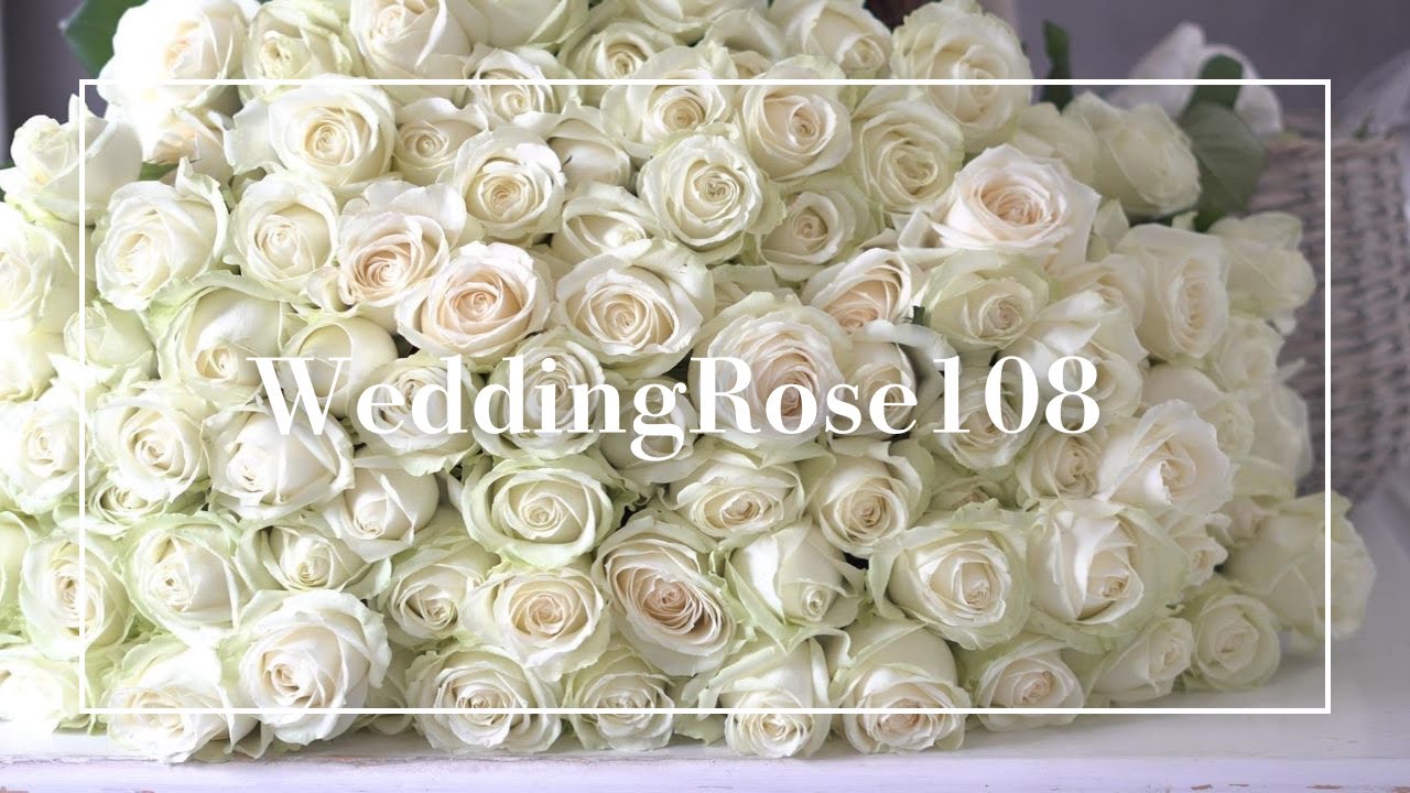 プロポーズ用の108本のバラの花束をつくりました/バラ/結婚式/wedding